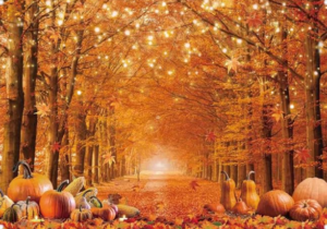 Fall Background